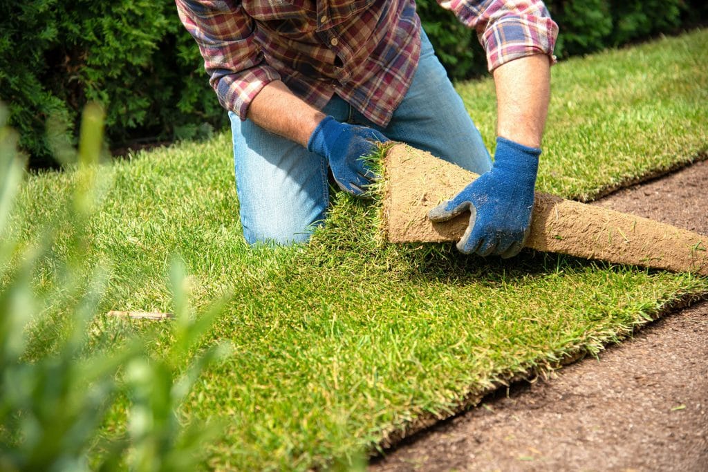 Residential Sod Installation