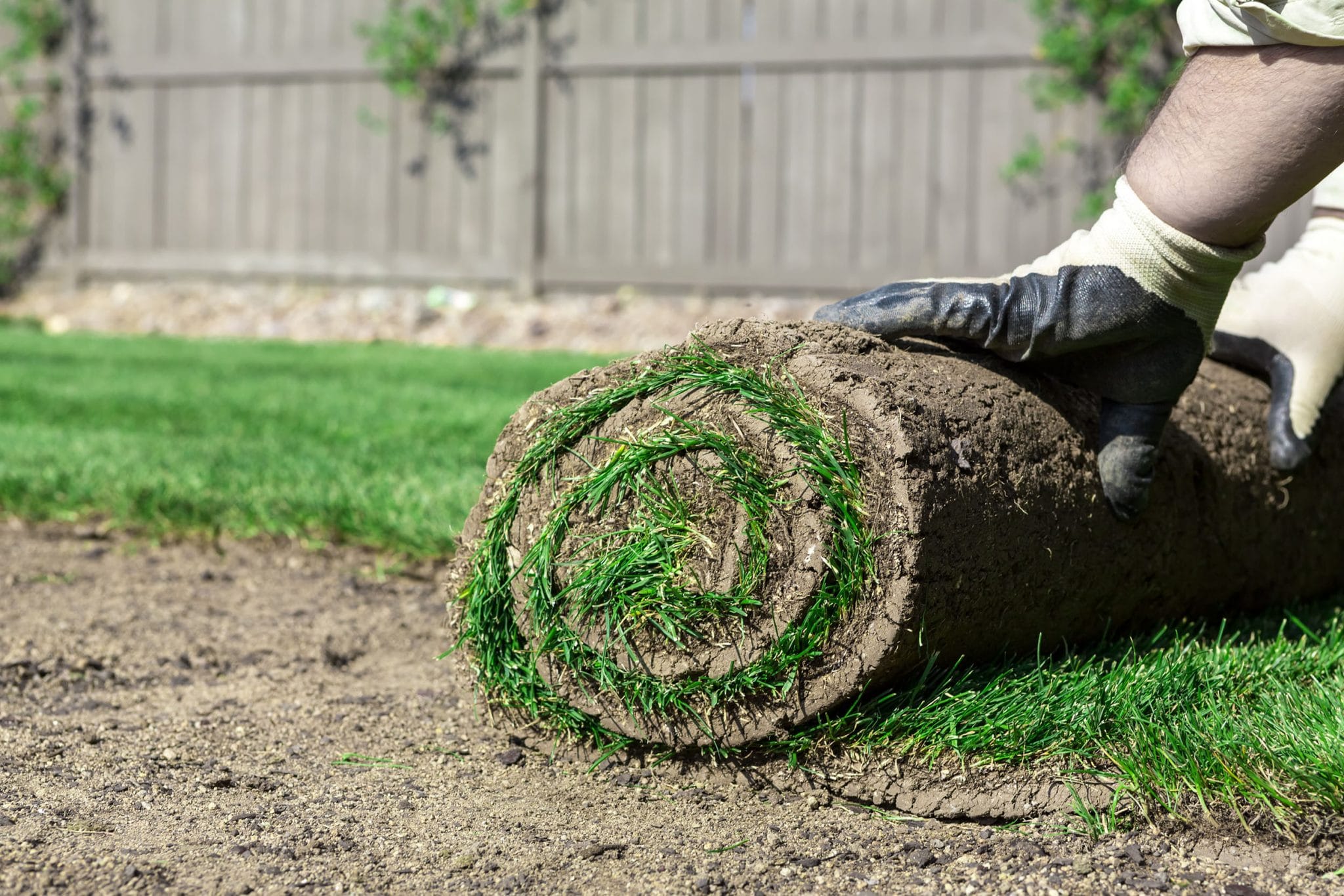 Atlanta Sod Installation Company Atlanta Sod Solutions