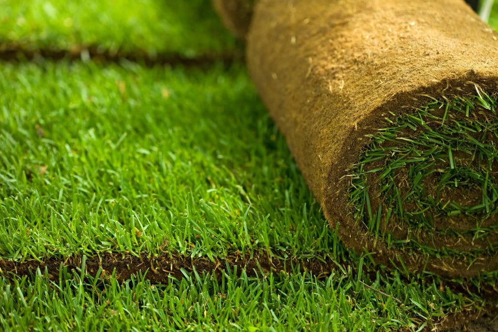 St Augustine Grass Atlanta Sod Solutions