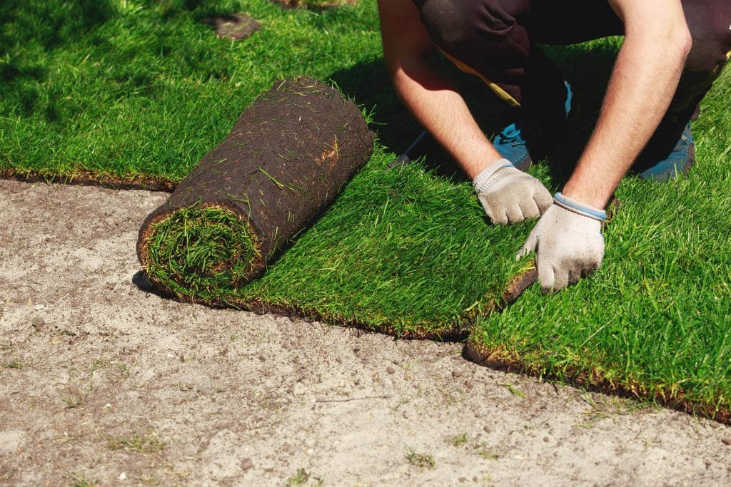 Atlanta Sod Installation Company Atlanta Sod Solutions