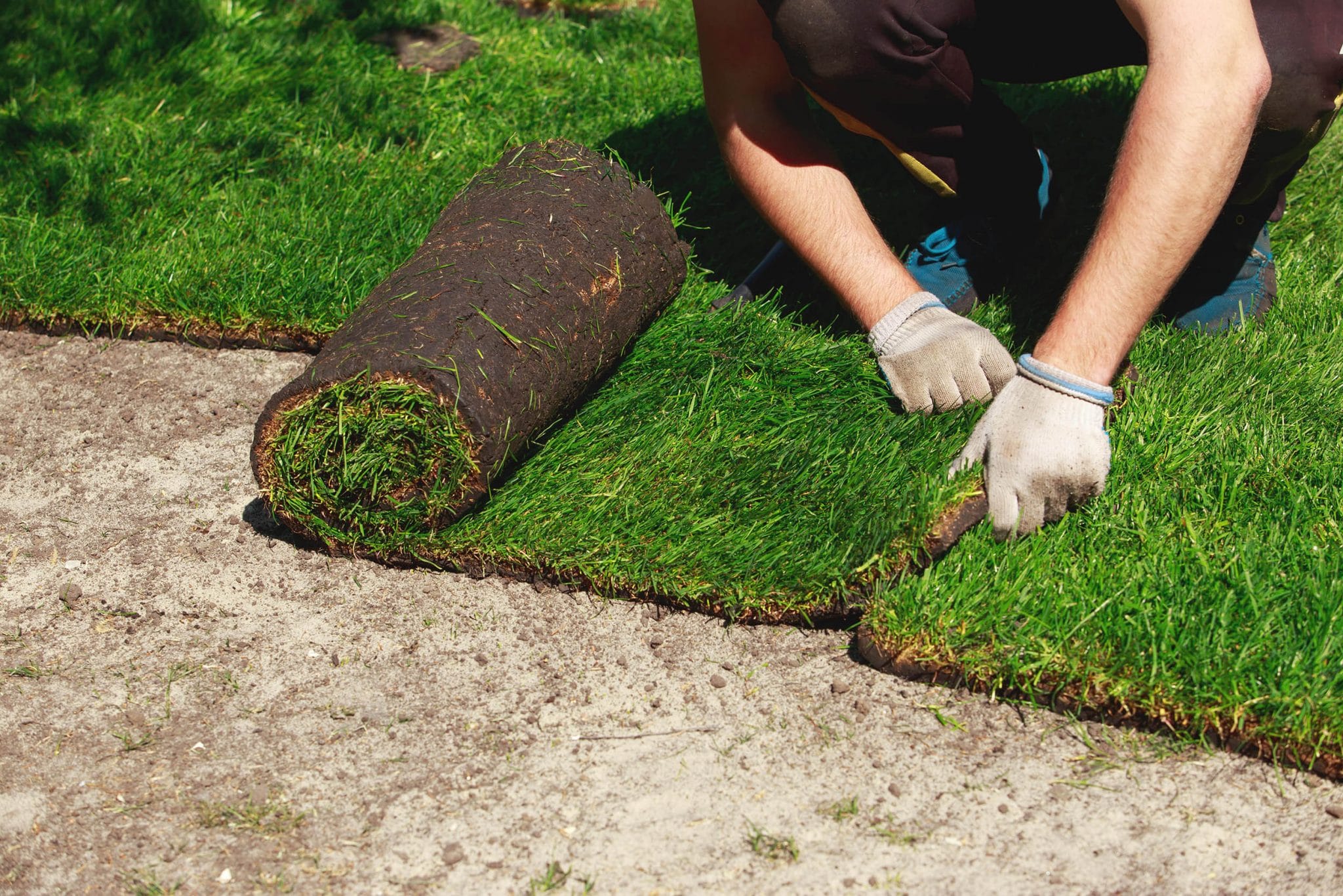 Commercial Sod Installation